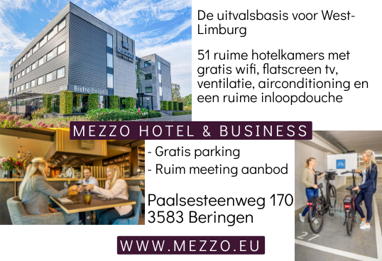 Mezzo Hotel & Business